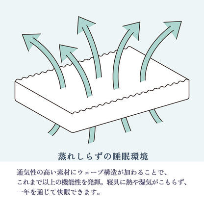 マニフレックス  高反発マットレス  エコサンドロ 【長期保証】【送料無料】